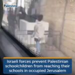Las fuerzas de ocupación israelíes impiden que los escolares palestinos lleguen a sus...